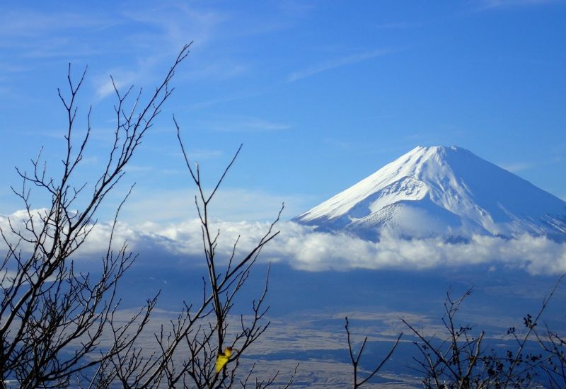 Blick auf den Berg Fuji von Hakone
