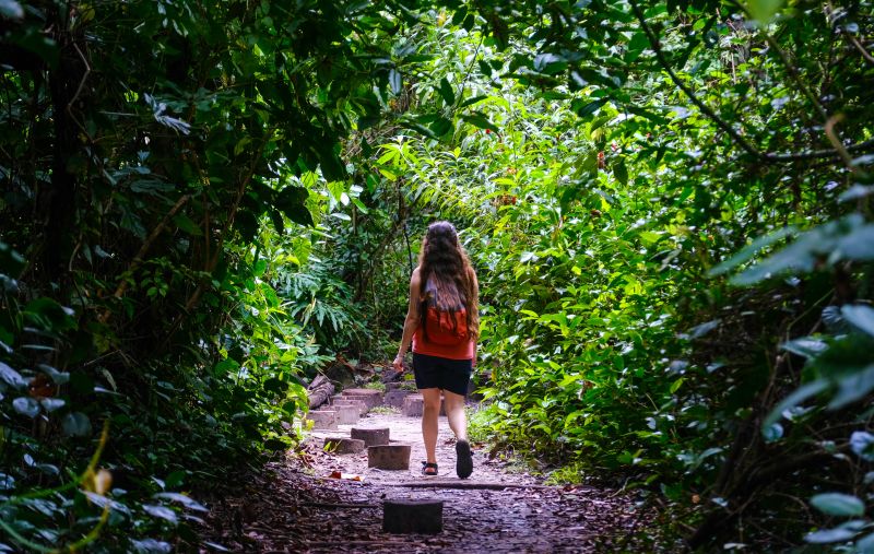 Wandern im Cahuita National Park in Costa Rica