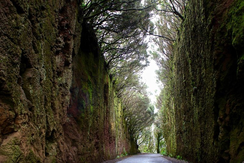 Camino viejo al pico del inglés
