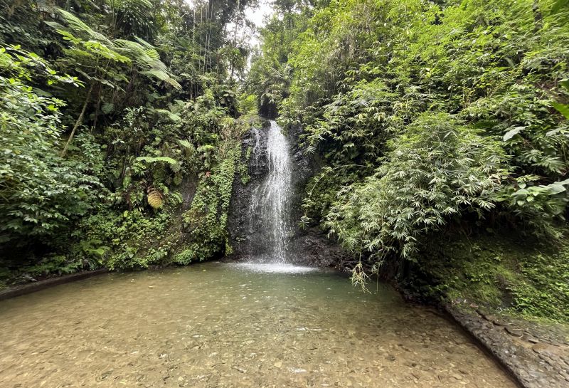 Landausflüge auf Martinique zur Cascade du Saut du Gendarme