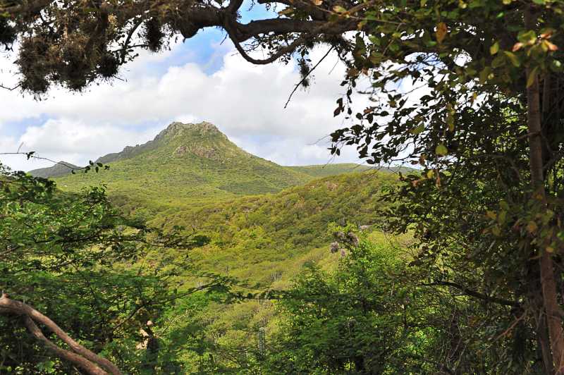 Der Christoffel Nationalpark ist ein Highlight für Landausflüge auf Curacao