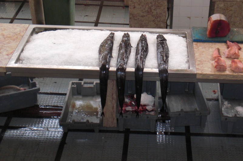 Schwarzer Degenfisch auf Madeira