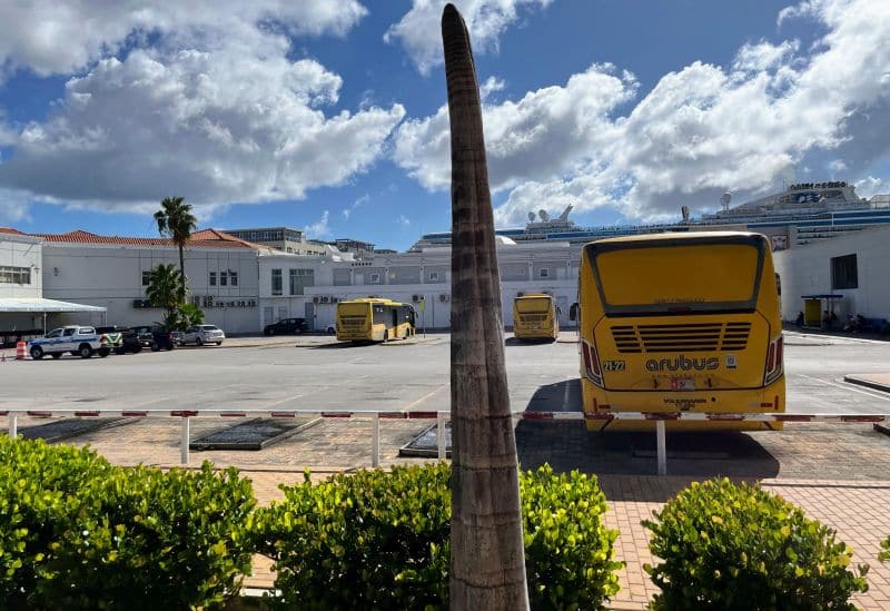Der Busbahnhof von Oranjestad