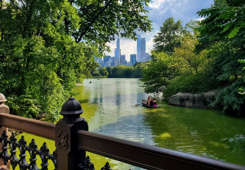 Der Central Park ist die grüne Oase der Stadt