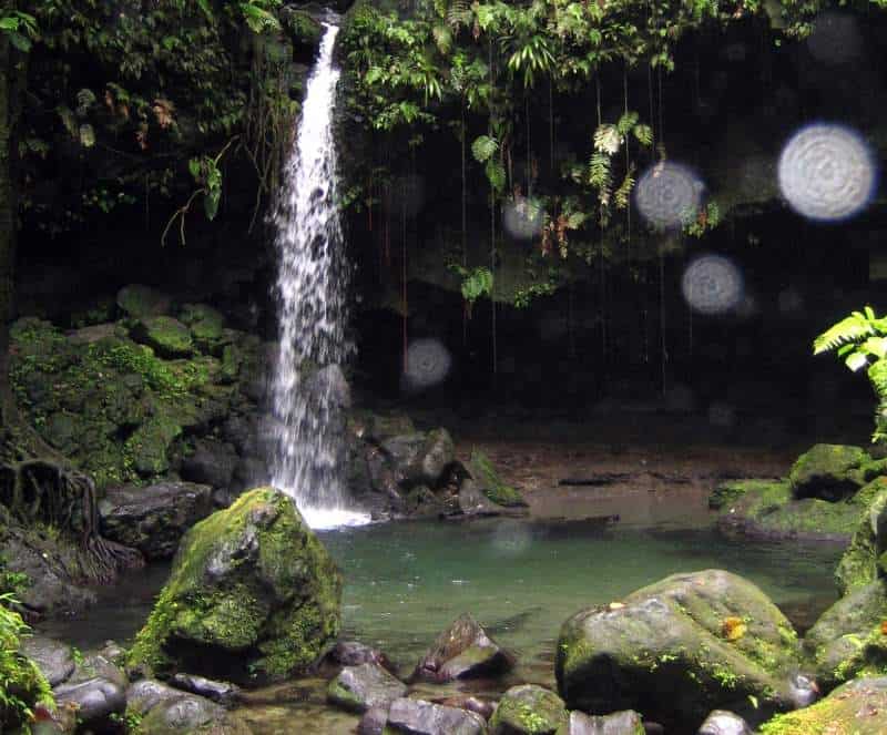 Der Emerald Pool auf Dominica