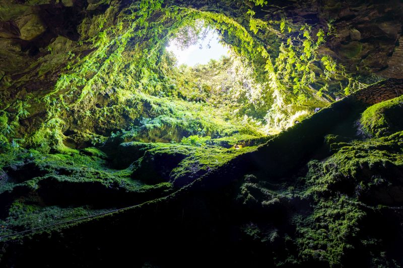Die Lavaröhre Algar do Carvão