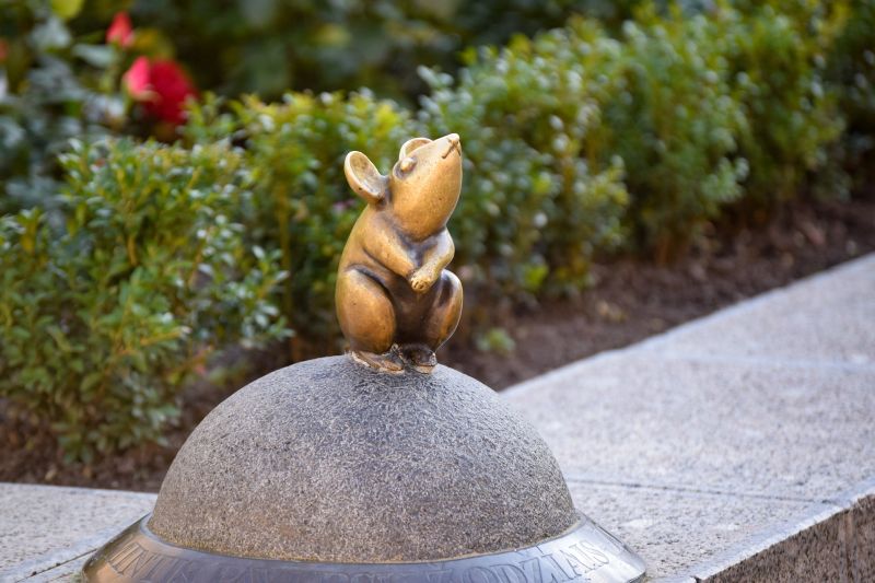 Die kleine Maus