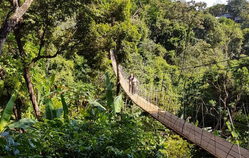 Die Hängebrücke im Maya Eden Eco Park auf Roatan auf eigene Faust erleben