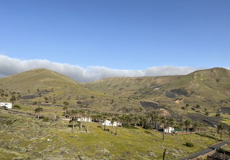 Tal der tausend Palmen in Haría