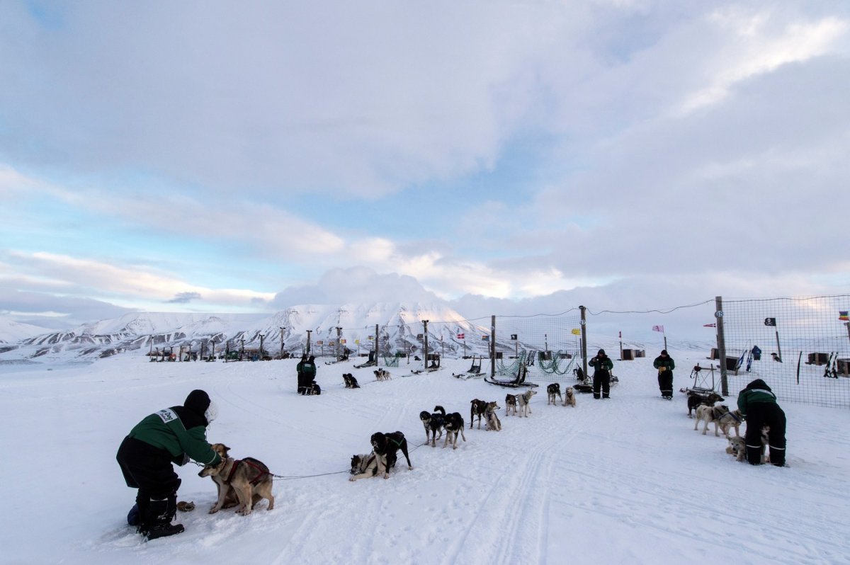 Longyearbyen Landausflüge