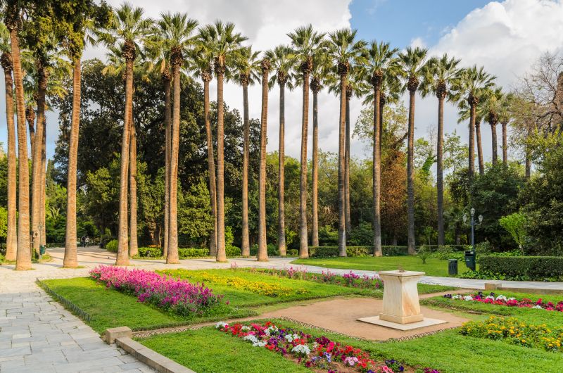 Palmen im Nationalgarten in Athen