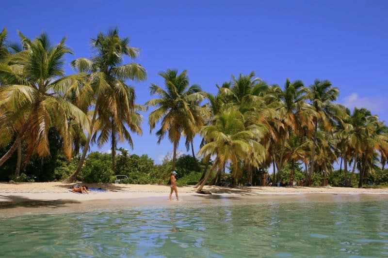 Plage des Salines auf Martinique auf eigene Faust