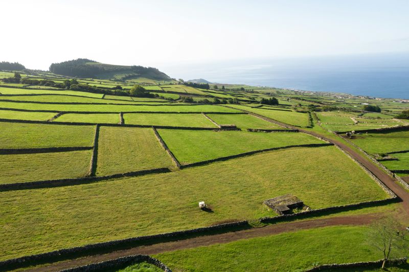 Die Landschaft von Terceira ist ein Flickenteppich aus satten grünen Weiden