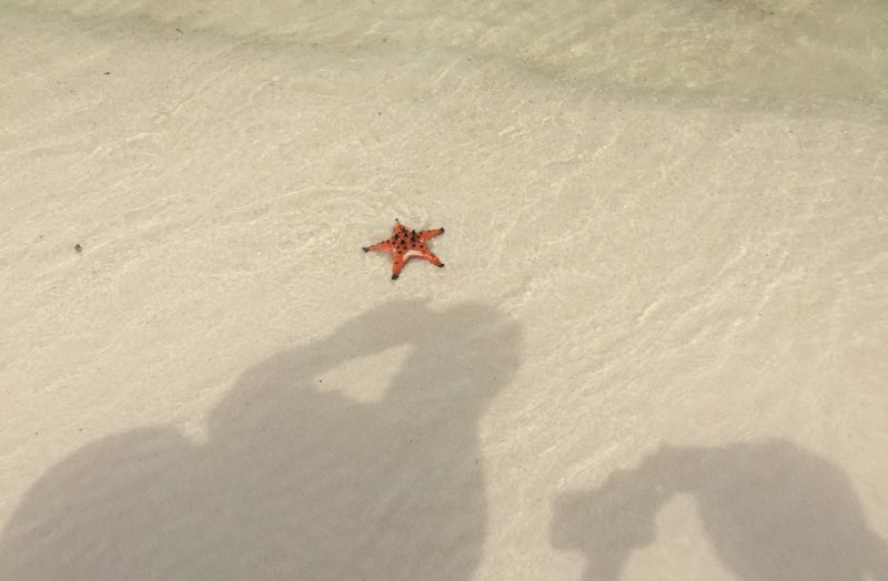 In Phu Quoc auf eigene Faust zum Starfish Beach