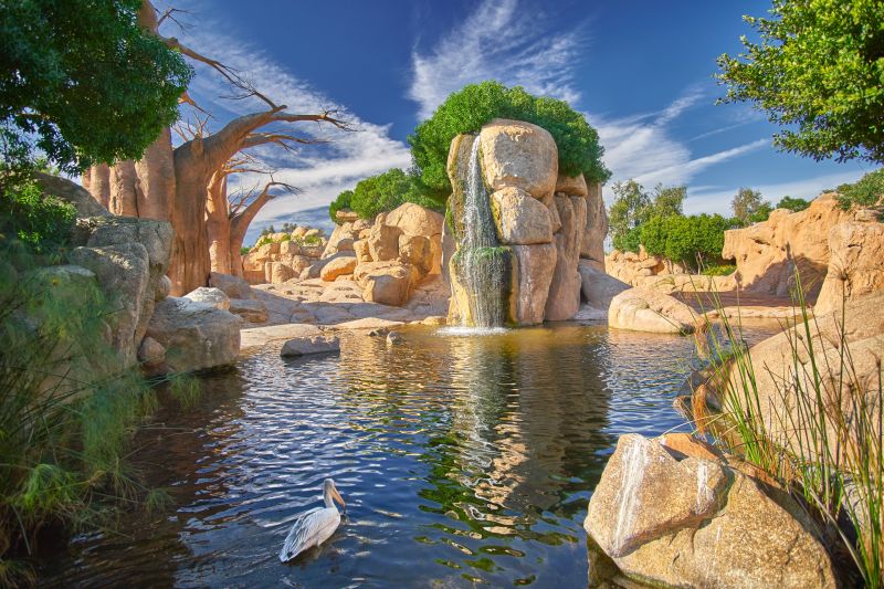 Valencias moderner Zoo Bioparc