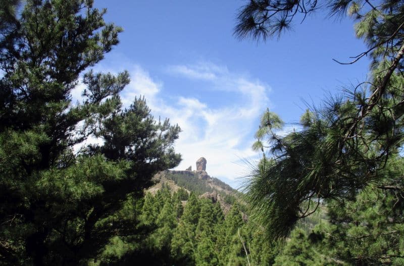 Wanderung zum Roque Nublo auf Gran Canaria